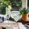 cocktails with cucumber - g and t 2