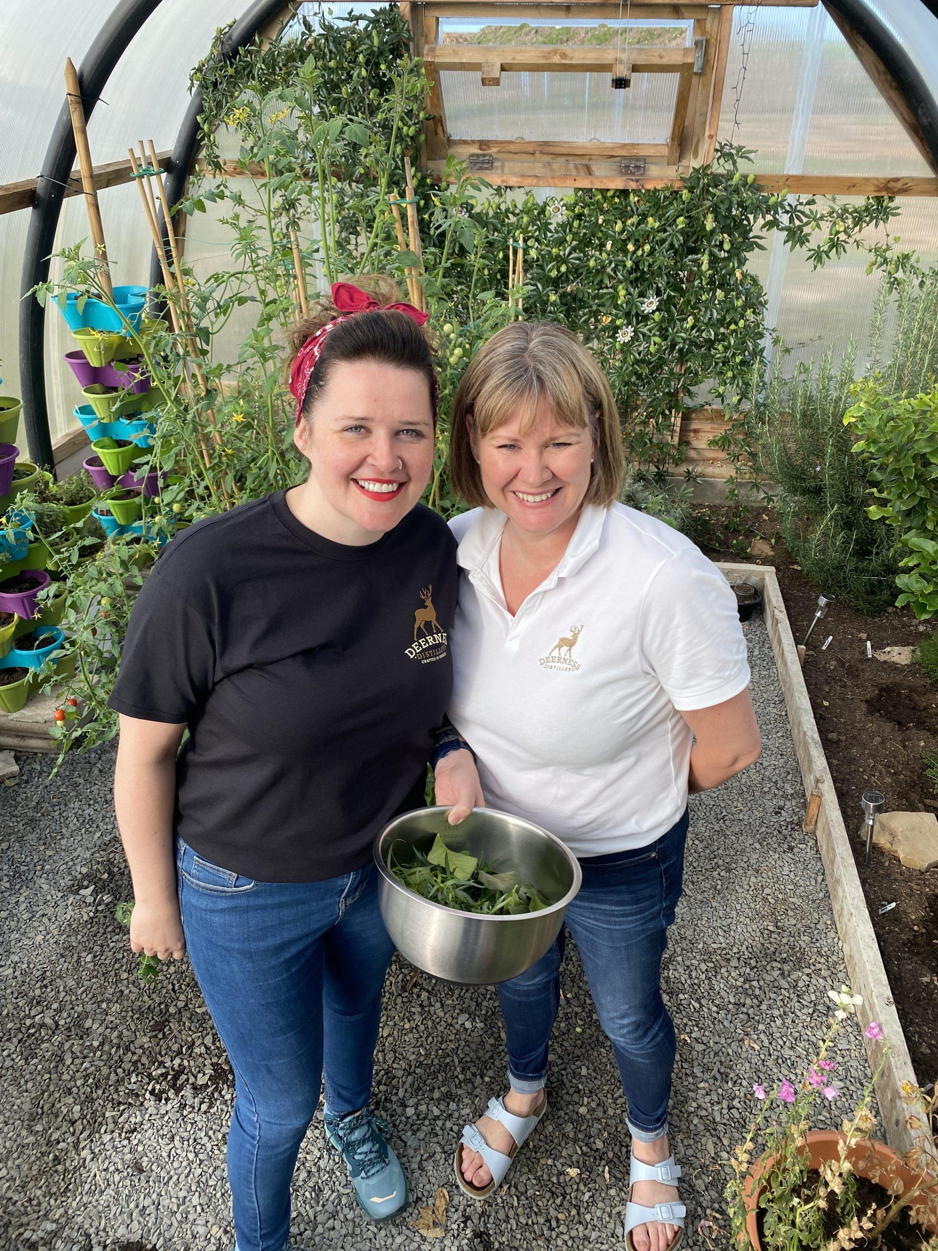 lianne adelle polytunnel