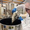 Preparing the maturation of botanicals