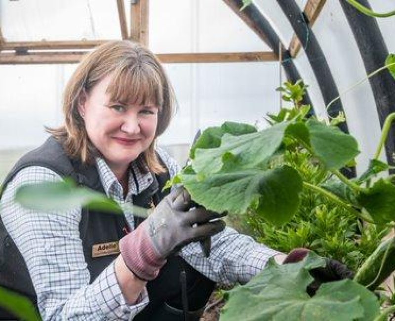 Adelle in Polytunnel smiling Adelle in Polytunnel smiling